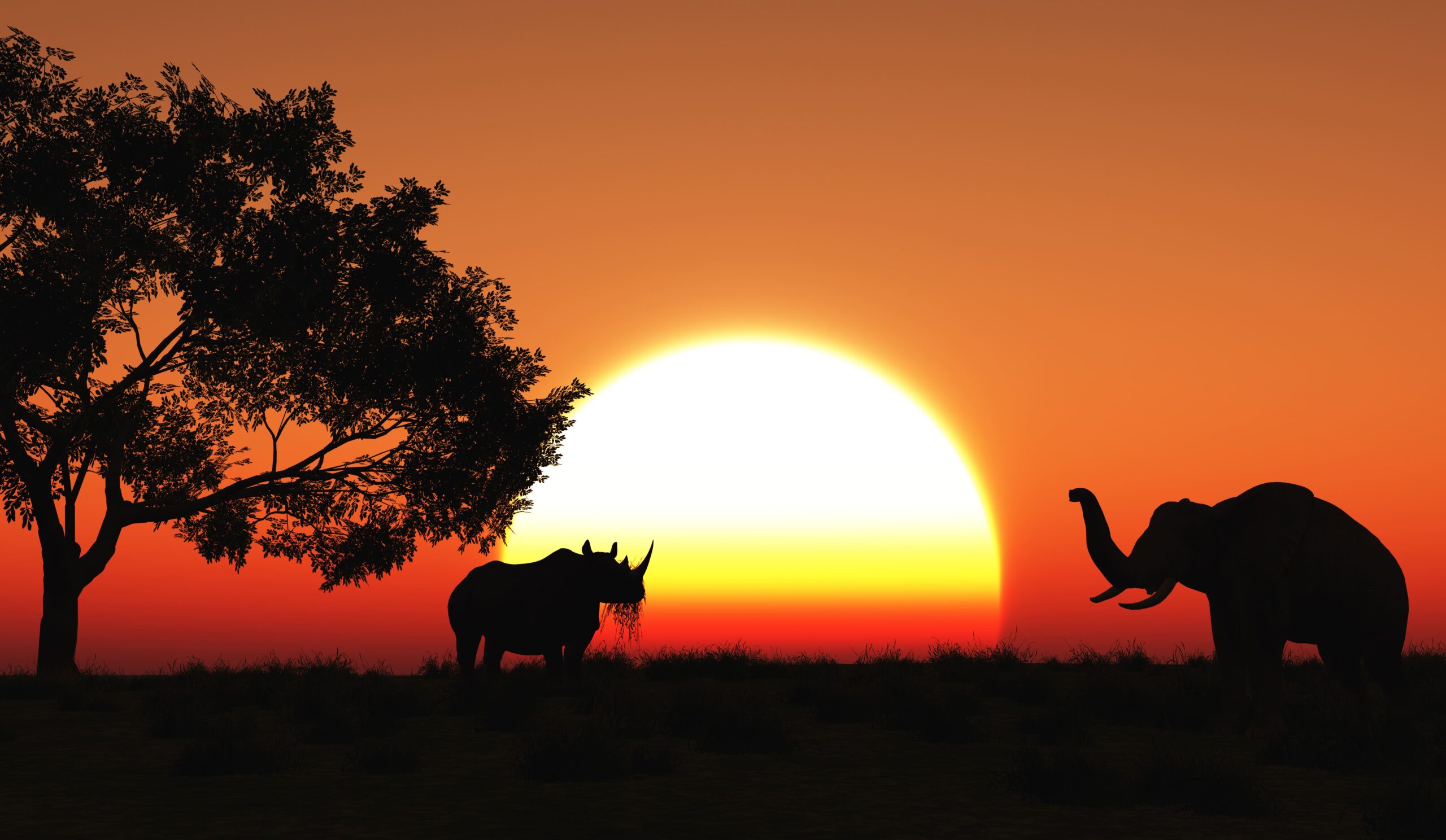 Image of a Rhino and Elephant Tours & Travel Marketing Agency